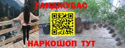 индика Ипатово