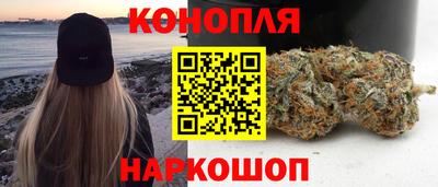 сатива Камышлов