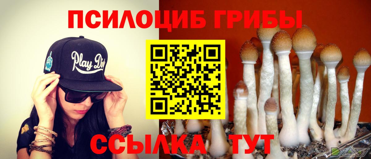 Псилоцибиновые грибы ЛСД  Вход с VPN  Бор  Галлюциногенные грибы GOLDEN TEACHER 