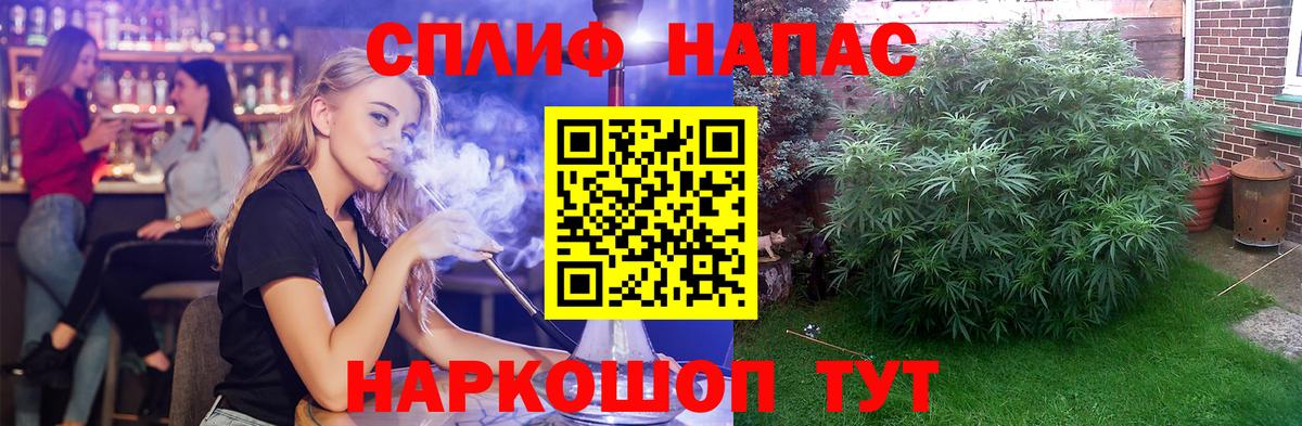 Канабис план Бор